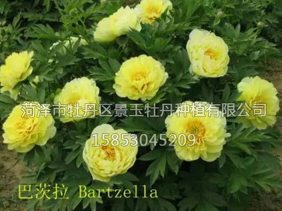 戳我试试